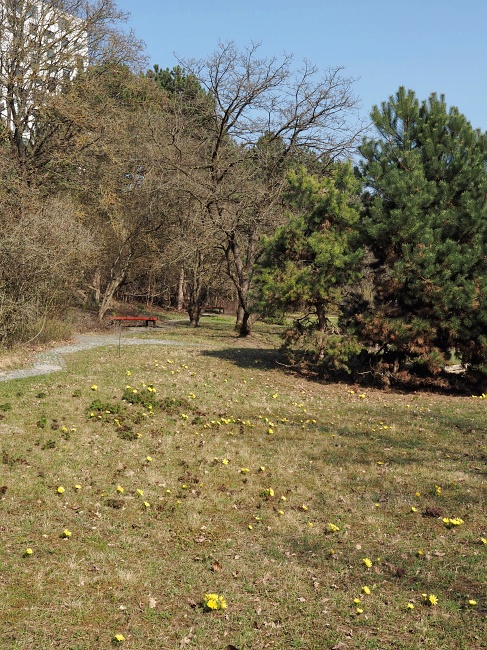 Botanická zahrada a arboretum MENDELU Brno
