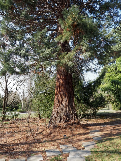 Botanická zahrada a arboretum MENDELU Brno