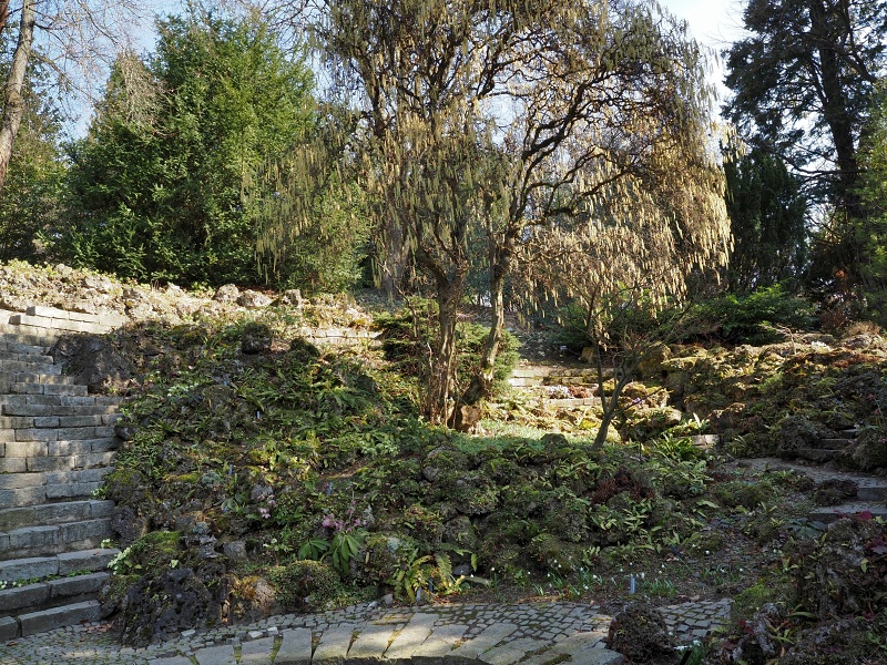 Botanická zahrada a arboretum MENDELU Brno
