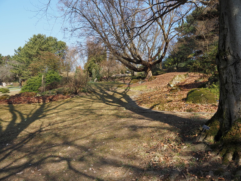 Botanická zahrada a arboretum MENDELU Brno