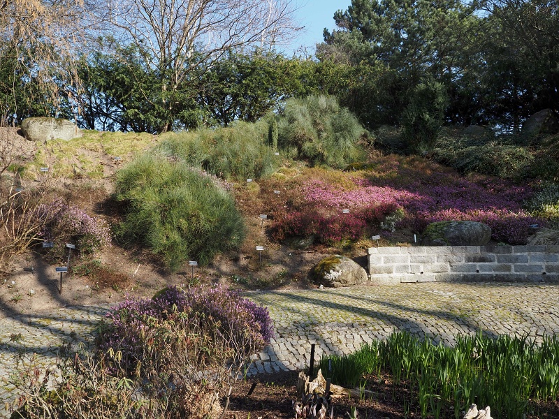 Botanická zahrada a arboretum MENDELU Brno