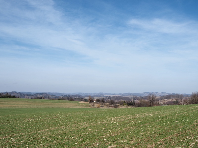 v polích nad Tasovicemi