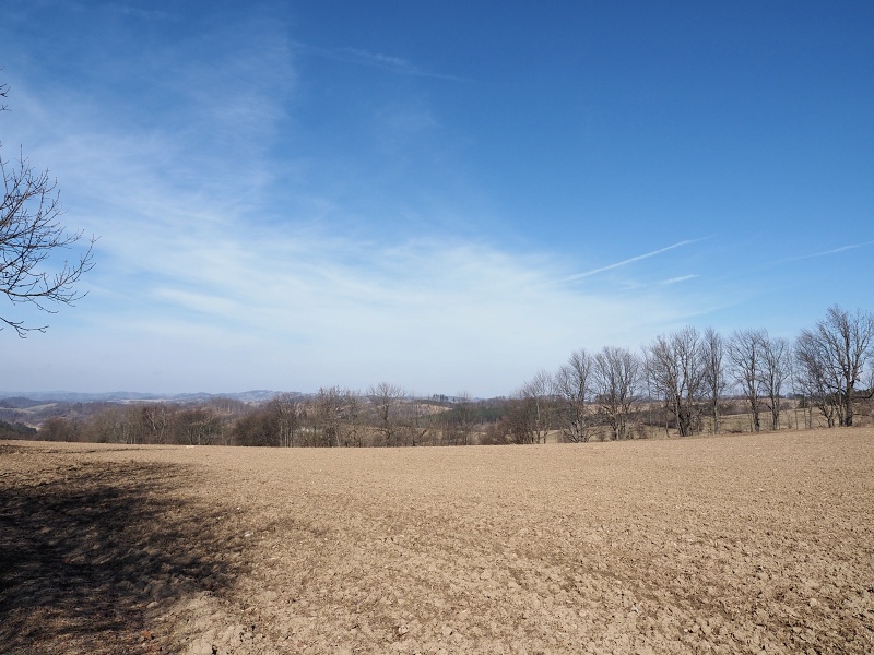 v polích nad Tasovicemi