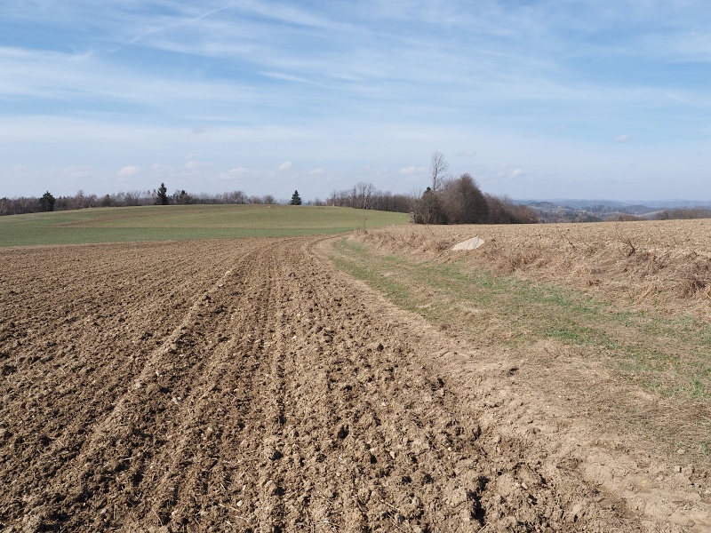 v polích nad Tasovicemi