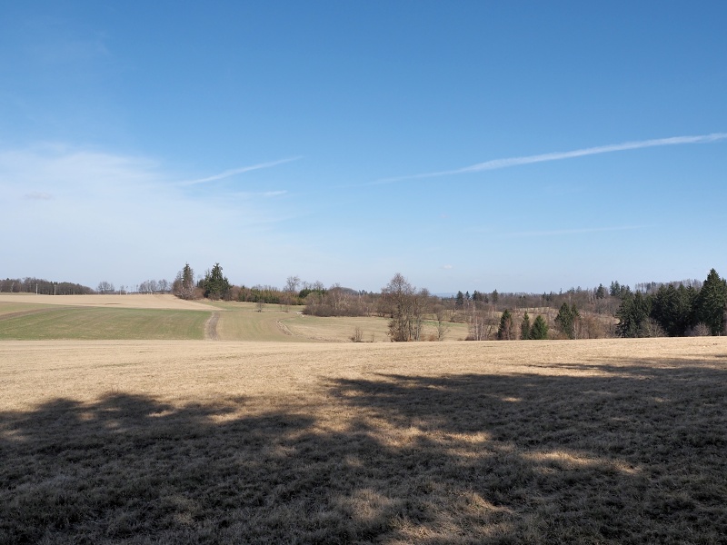 v polích nad Tasovicemi