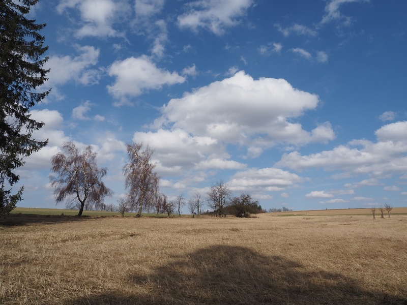 v polích nad Tasovicemi