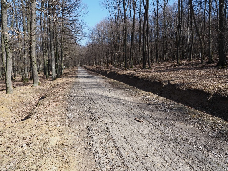 pod Skalickým vrchem