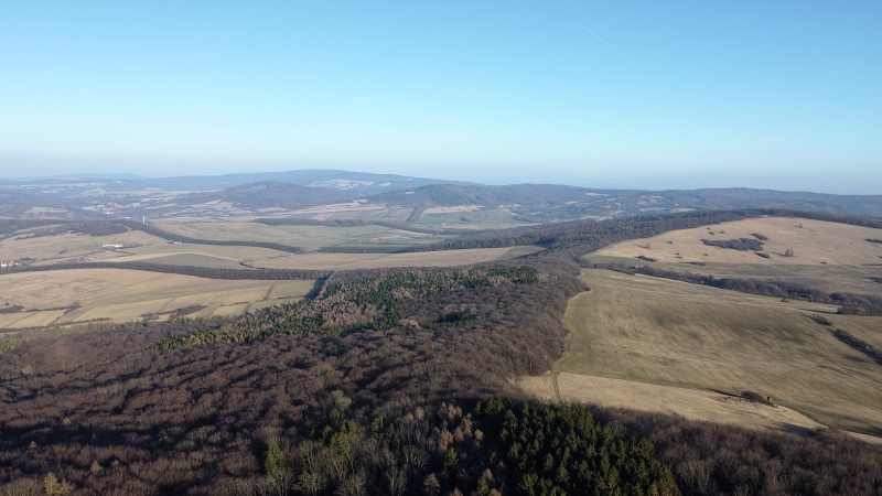 Kobyla