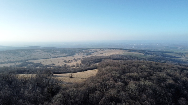 Kobyla