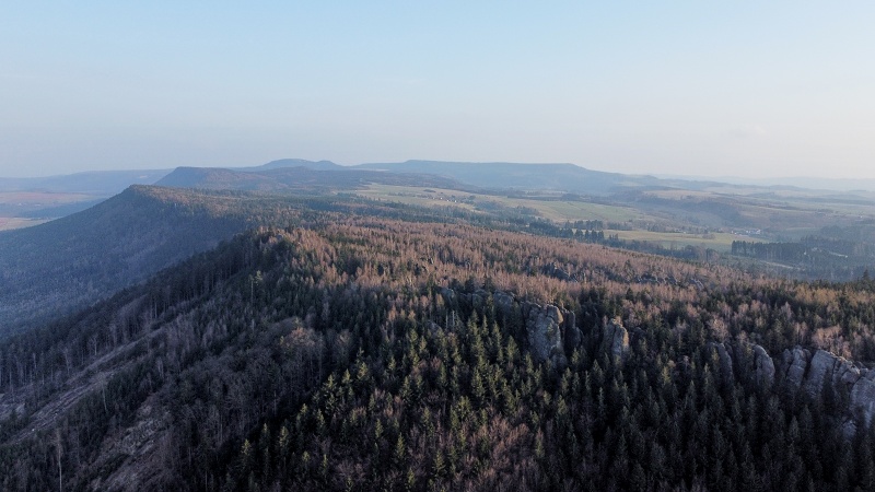 Hvězda