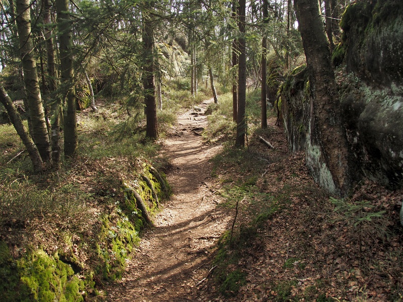 Koruna