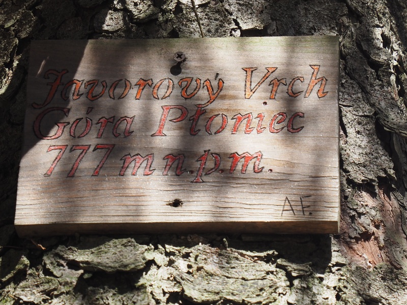 Javorový vrch