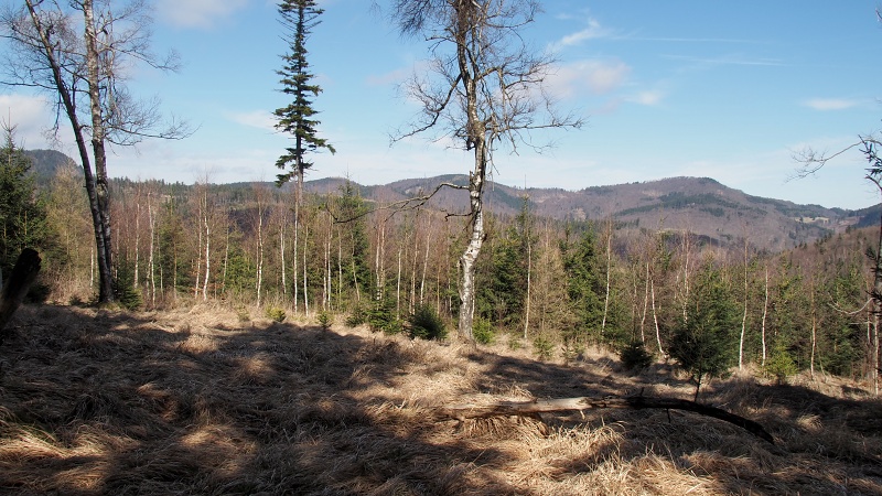 Javorový vrch