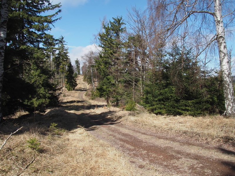 Javorový vrch