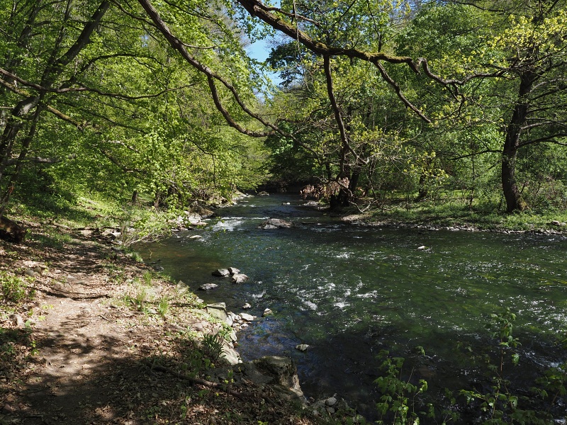 u řeky Jihlavy