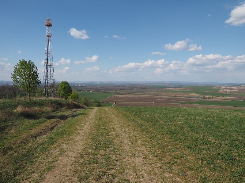Liščí vrch