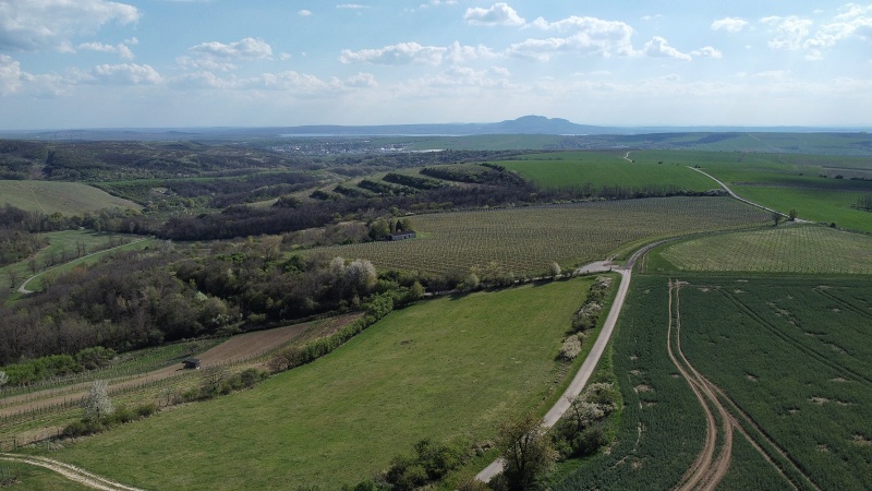Liščí vrch