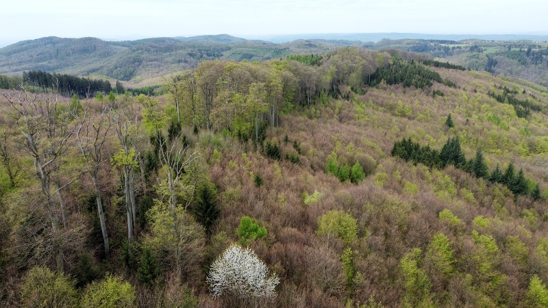 Kazatelna