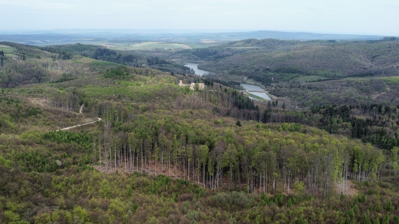 Kazatelna