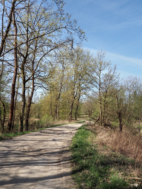 pod Velkopolským Dvorem