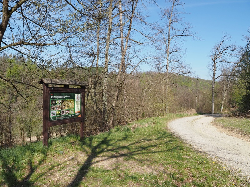 pod Velkopolským Dvorem