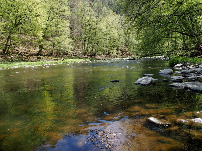 pod Sedleckým hradem