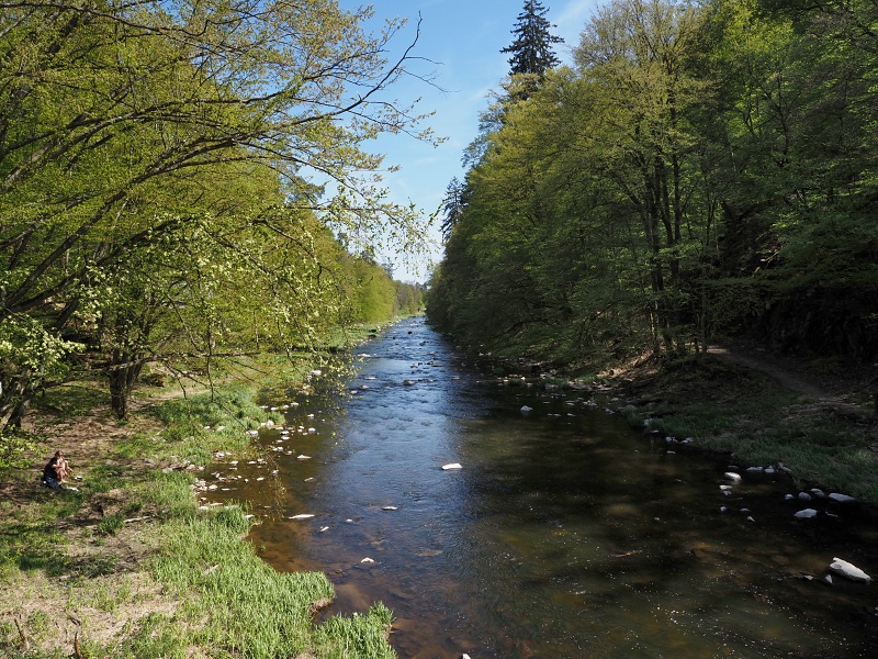 pod Vlčím kopcem