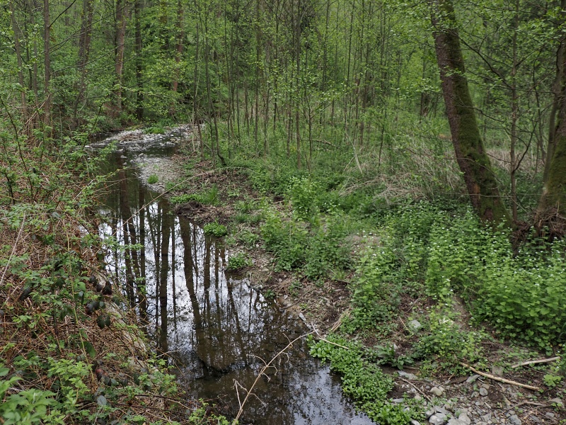 Malá Haná