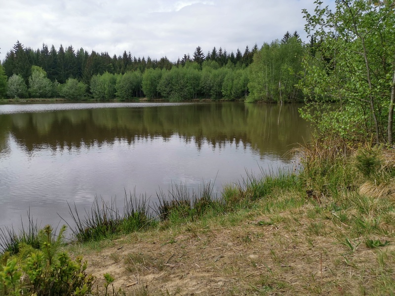 Horní rybník