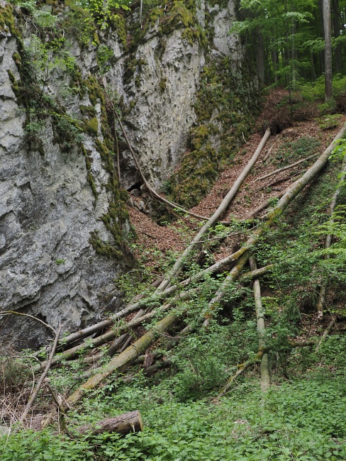 Pustý žleb
