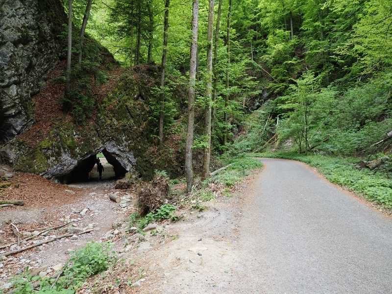 Pustý žleb