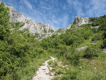 Trascau