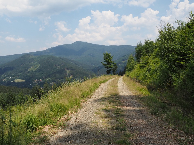 Ostravice
