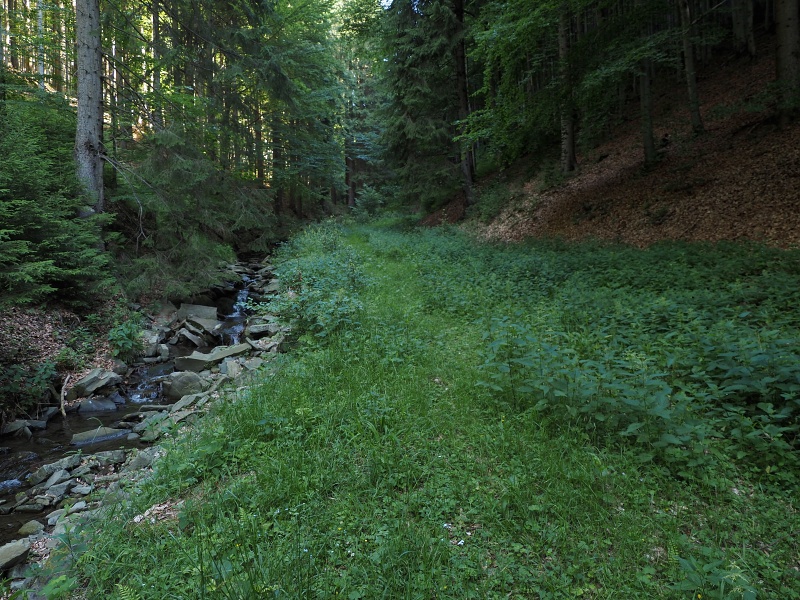 Daličanská ráztoka