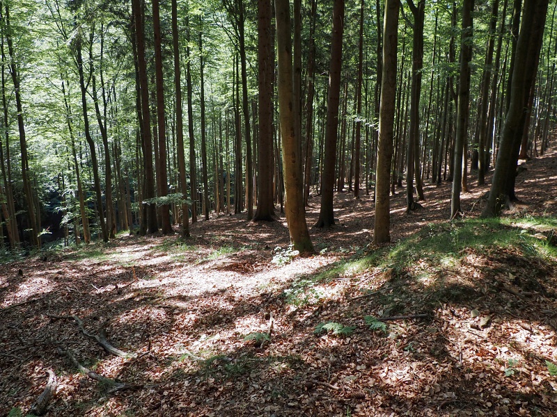 Daličanská ráztoka