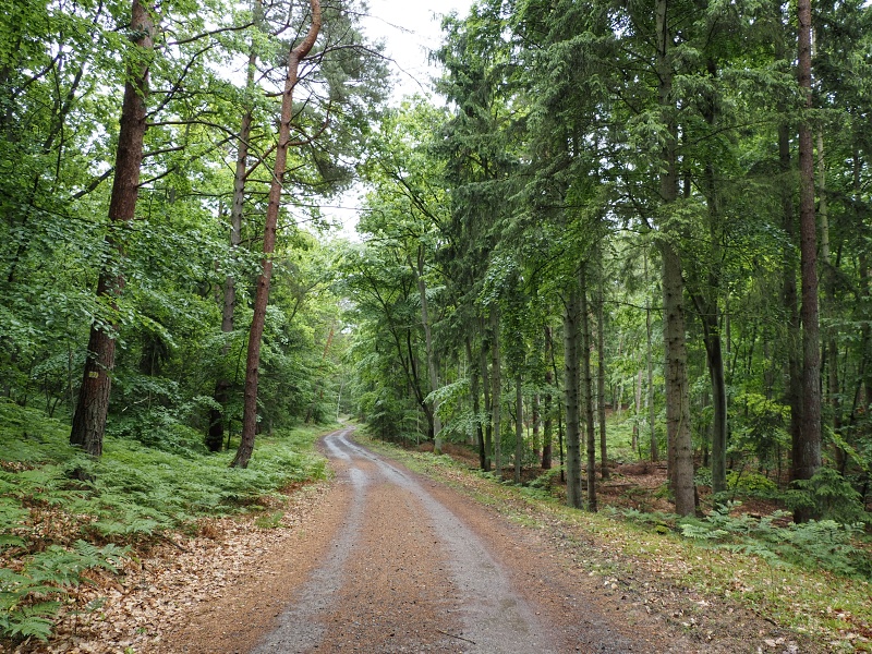 Viselská kosa