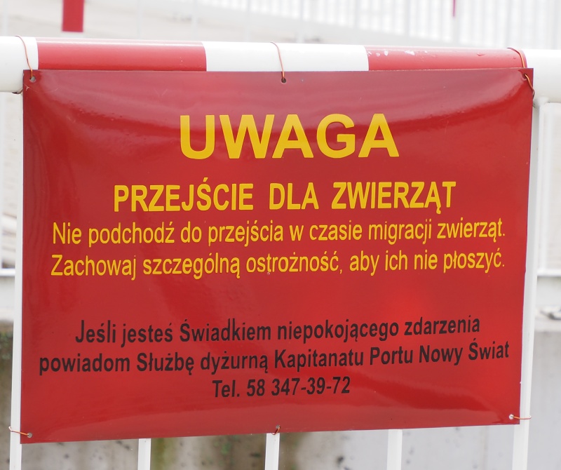 Viselský průplav