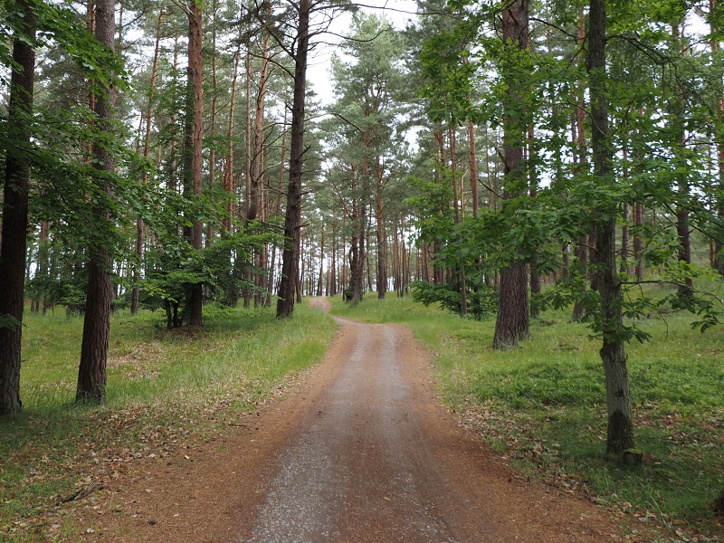 Viselská kosa