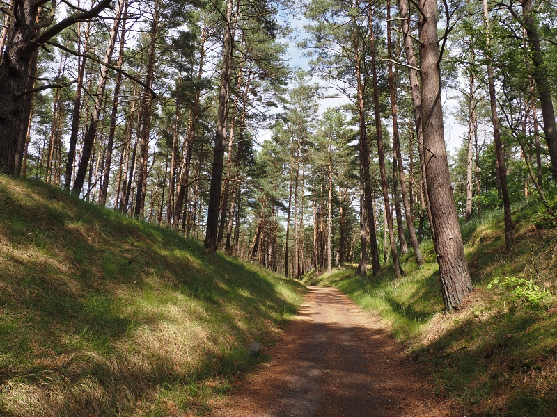 Viselská kosa
