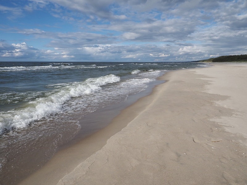 Viselská kosa