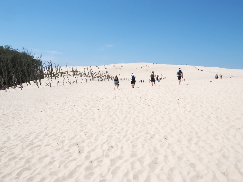 Lebská Sahara