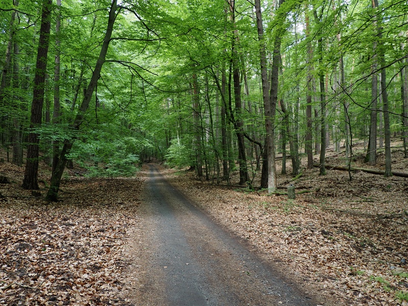 Woliński Park Narodowy