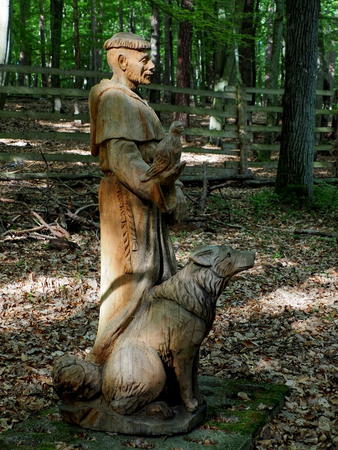 Woliński Park Narodowy