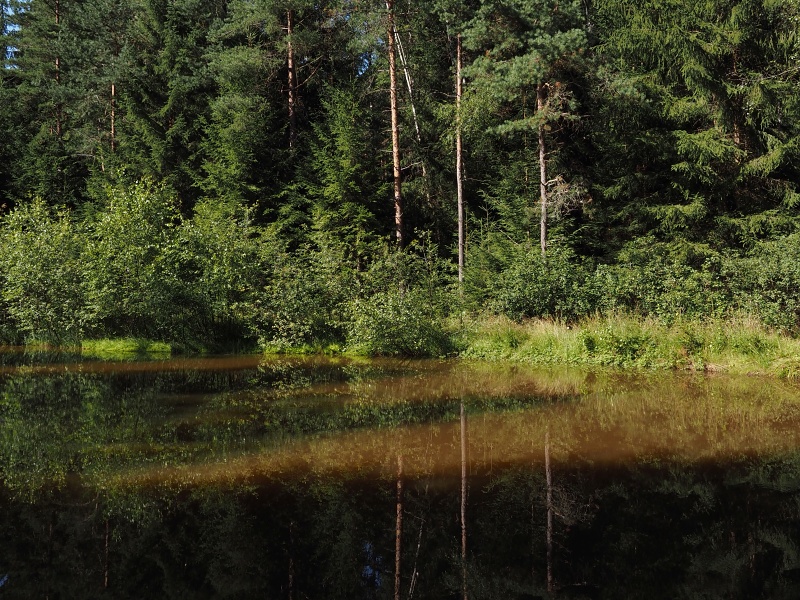 Tříslová