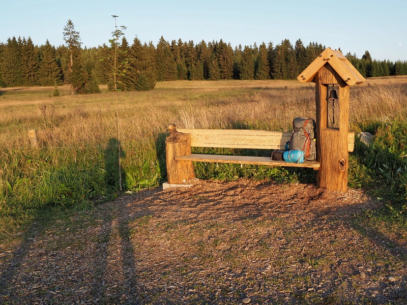 Přebuz