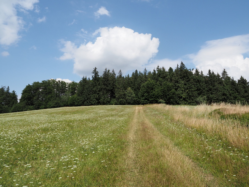 Bohdalec