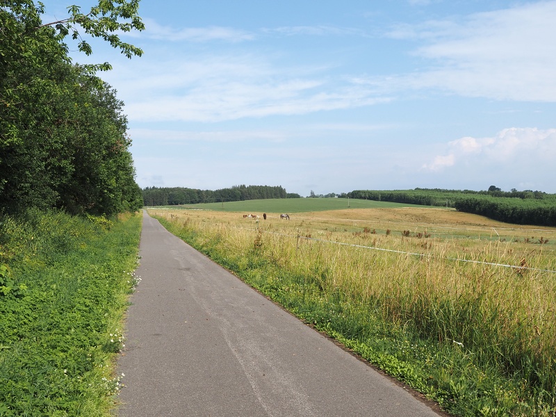 Bystřice n/P
