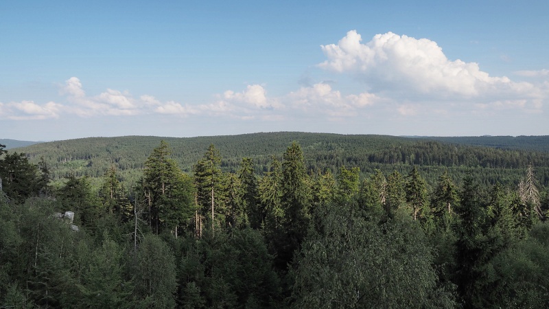 Devět skal