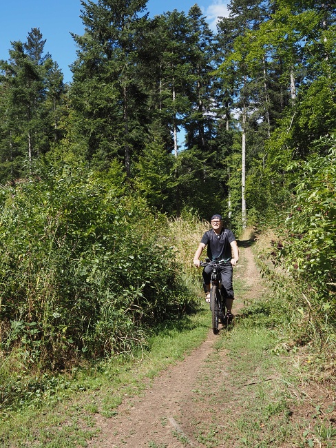 údolím Bílého potoka