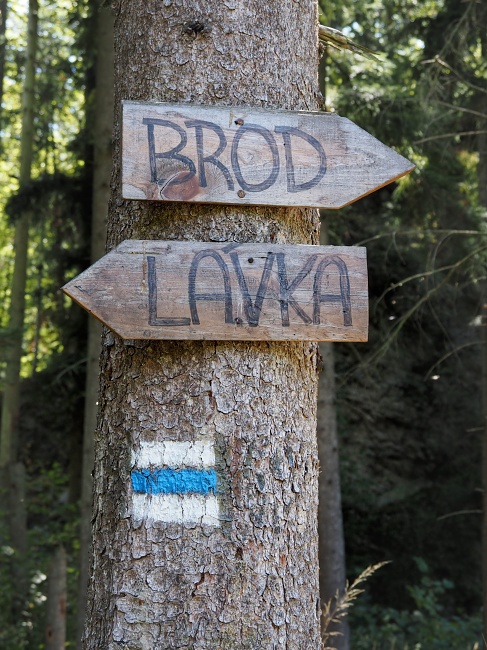 údolím Bílého potoka